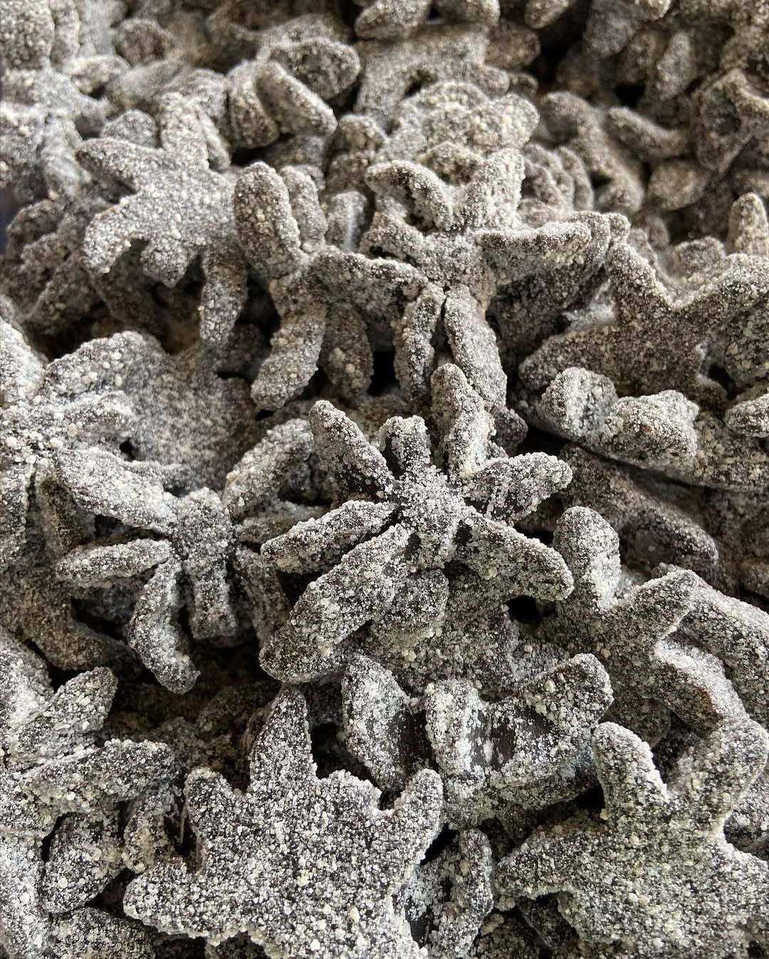 DAMEL ARAIGNÉES NOIRES SUCREE Halal