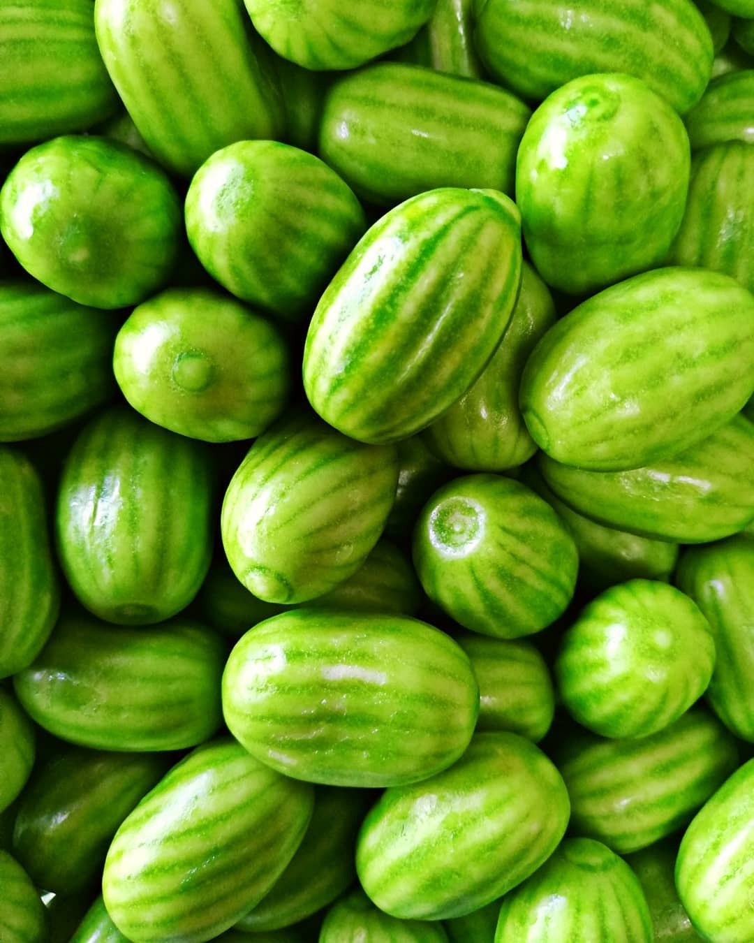 BOITE CHEWING-GUM ACIDULES MELON