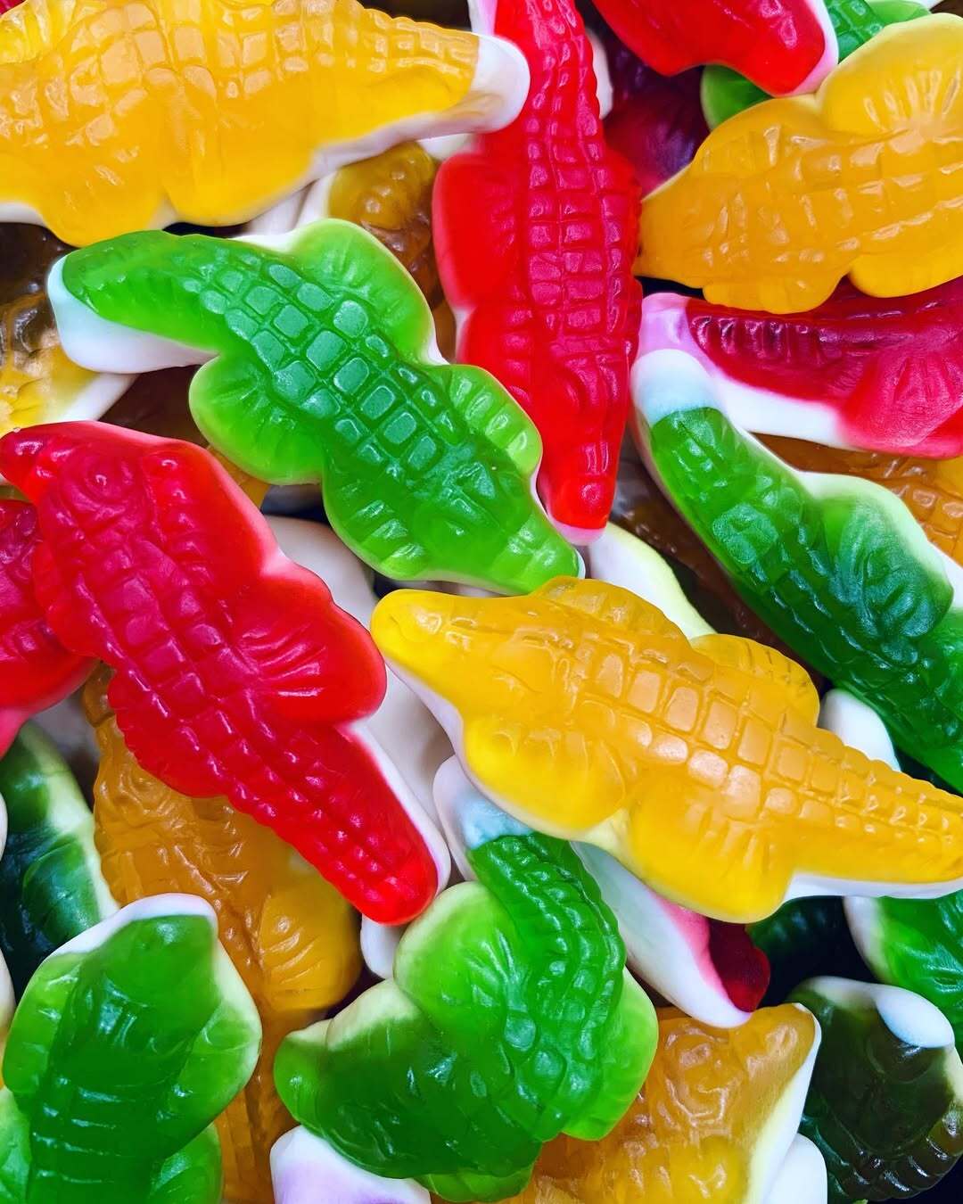 DAMEL CROCODILES Halal