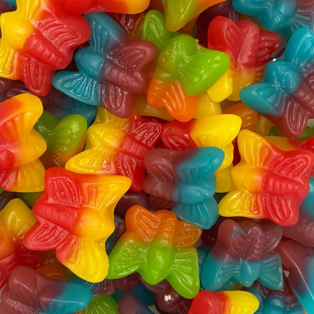 DAMEL PAPILLONS Halal