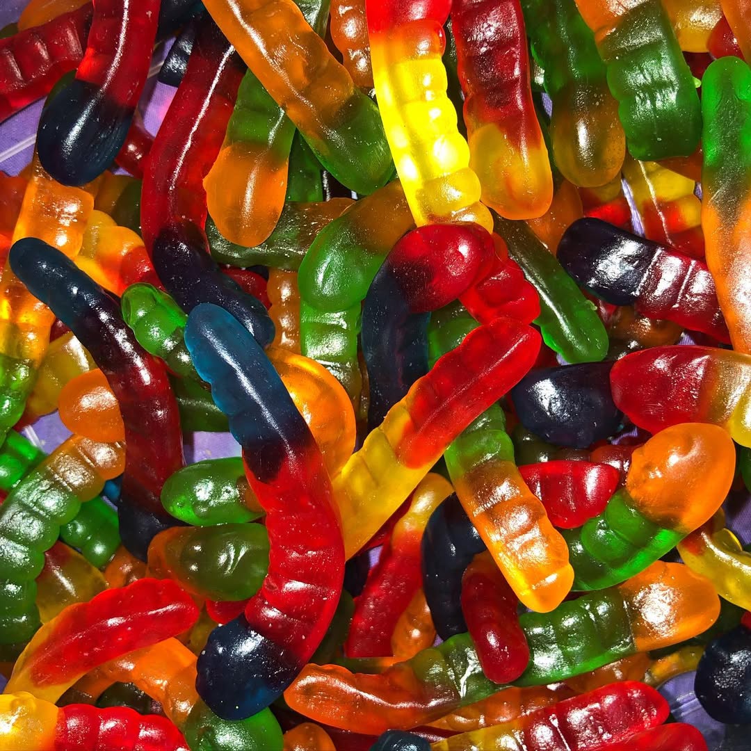 VRAC VERS DE TERRE LISSE Halal