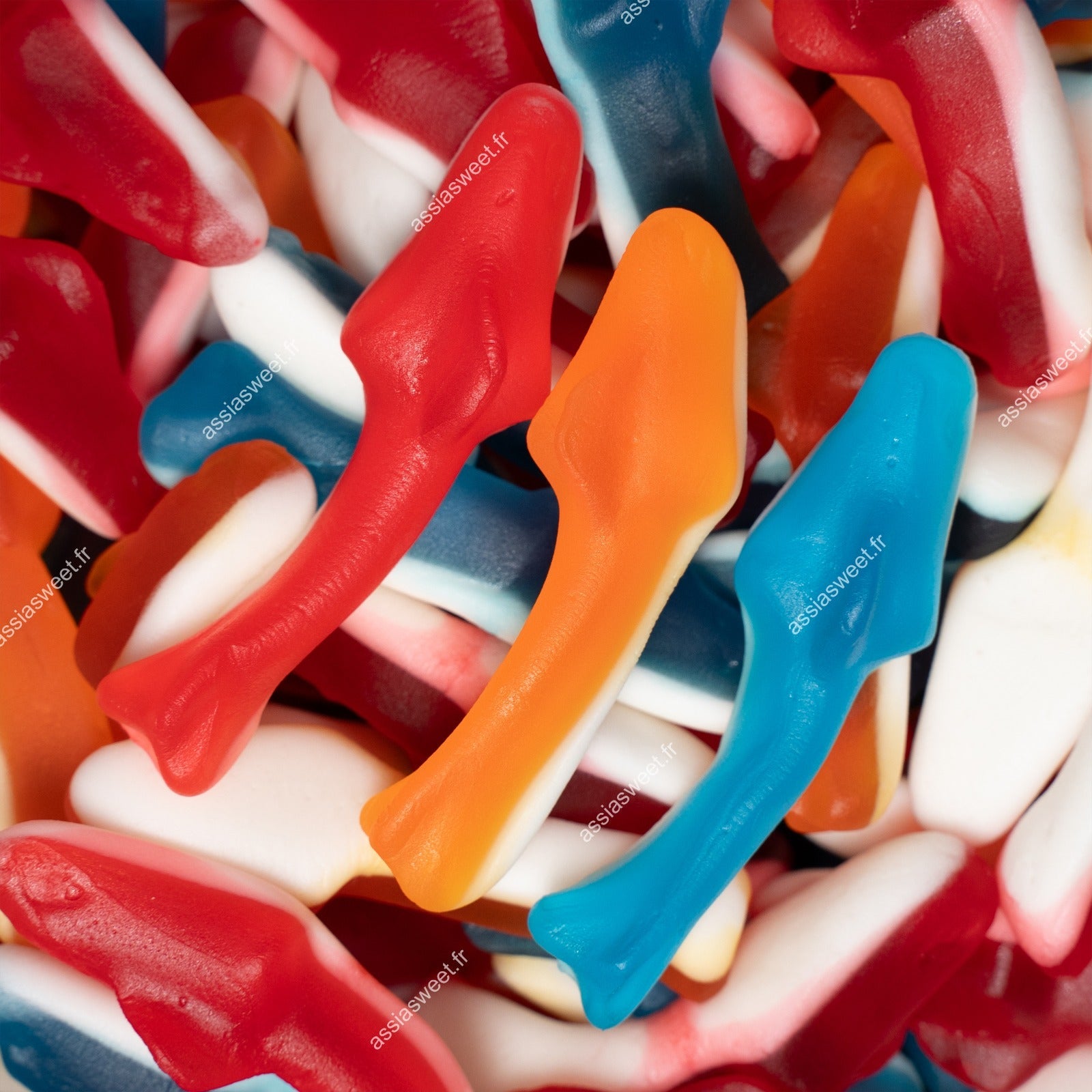 DAMEL REQUIN LISSE Halal