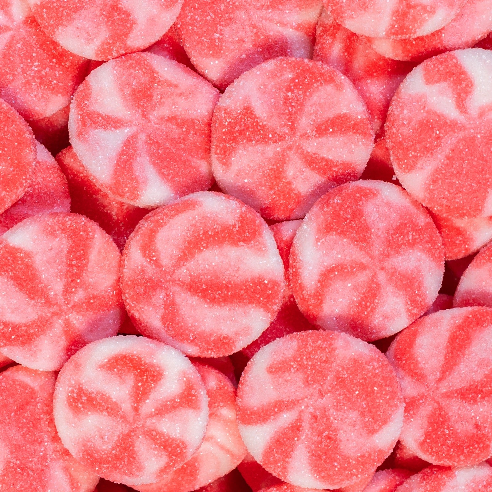 DAMEL TERABYTES Halal