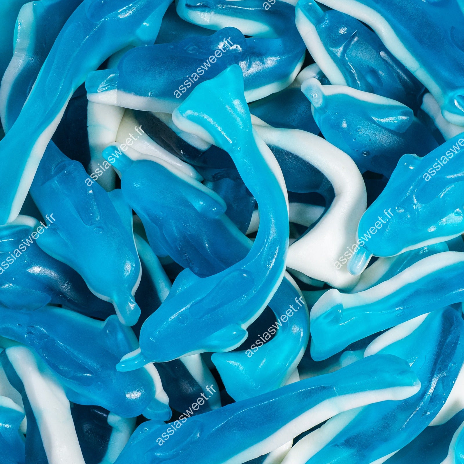 DAMEL DAUPHIN XL Halal